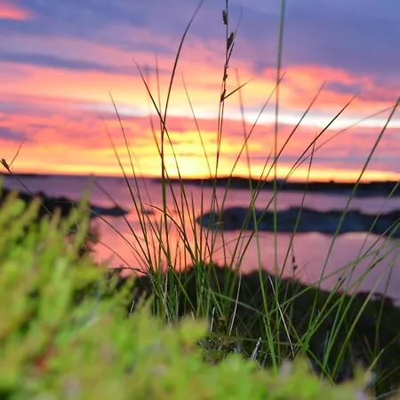 Lysø Naturcamping Og Rorbuer Feriehus AVEROY